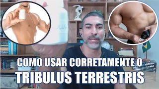 Tribulus terrestris: saiba como usar