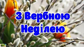 Привітання з Вербною Неділею