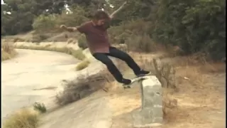 Riley Hawk - Shep Dawgs Vol. 3