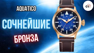 BEAUTY IN BRONZE! Aquatico Bronze Horizon Hawk