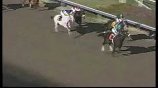 Zenyatta: Race 2, Allowence 12/15/2007