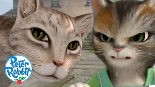 @OfficialPeterRabbit - Adventures With Mittens & Mr Mcgregor's Cat 🐈 🐱 | Cat Day | Cartoons for Kids