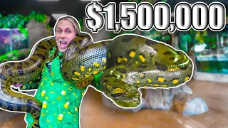 I Spent $1,500,000 On My Reptile Zoo!