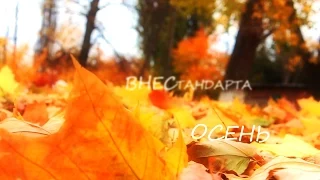 ВНЕСтандарта - Осень (Official video)
