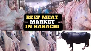 Beef Meat Male Buffalo Market in Karachi Bhains Gosht WholeSale Karachi Pakistan 2023