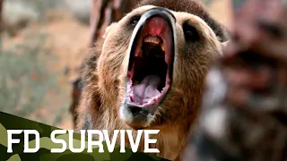 How to Survive a Bear Attack | Survival Science | FD Survive