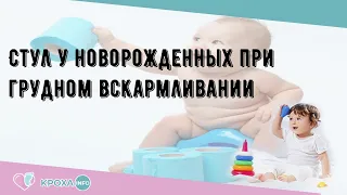 Стул у новорожденных при грудном вскармливании