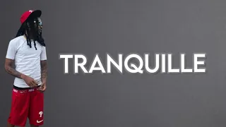 LEVELSANTANA - Tranquille Paroles ( Lyrics )