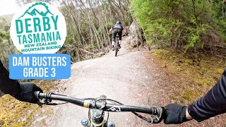 Flowy and Scenic 👌 Dam Busters | Derby MTB Tasmania