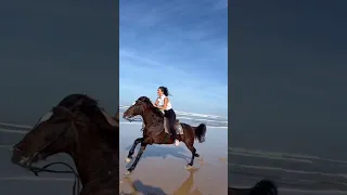 Riding horse in the Beach #shorts