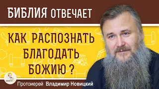 Как распознать благодать Божию ?  Протоиерей Владимир Новицкий