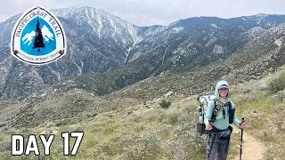 Day 17 | Leaving The Mountain Behind, Rattle Snakes & Bee Hives | Pacific Crest Trail Thru Hike