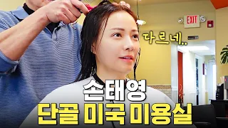 배우 손태영이 미국 미용실에서 머리하다가 깜짝 놀란 이유 (feat.산책하는 고양이)