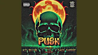 PUSH (feat. ICEMANE THA KINGPIN & Zach rabbit)