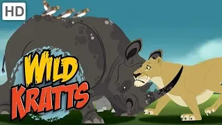 Wild Kratts - Best Season 1 Moments! (Part 9) | Kids Videos