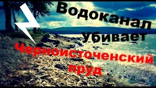 Водоканал убивает Черноисточинский пруд