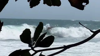 Caribbean Surf Costa Rica - Secret spot