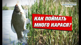 Как поймать много карася? Классический фидер vs. флэт метод