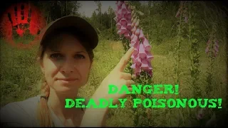 ☠️Deadly poison!☠️ Low dose deadly for adult- Vanessa Blank- 4k
