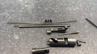 Disassembly and reassembly off the bolt carrier group mpx