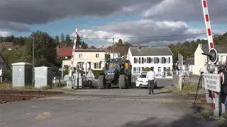 Idiot at crossing in France