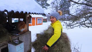 Деревенская жизнь вдали от города