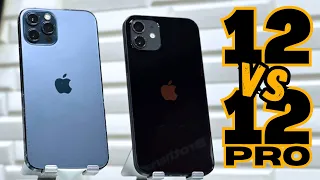 Apple iPhone 12 vs iPhone 12 Pro ¿Qué Diferencias Hay? | Puerto Tech