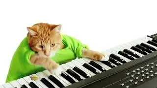 Keyboard Cat   Wonderful Pistachios Get Crackin' Ad