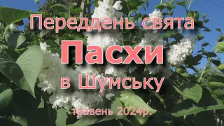 Переддень свята Пасхи в Шумську (4.05.2024р.)
