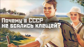 КЛЕЩИ: в СССР не было клещей? / туризм, вакцины, ДДТ // СМЫСЛ.doc