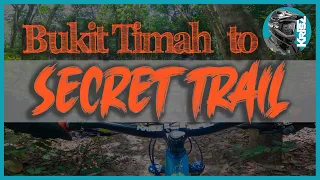 Bukit Timah Trail to Secret Trail