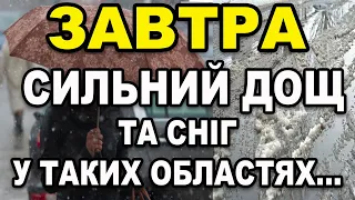 СКЛАДНІ ПОГОДНІ УМОВИ?! Прогноз погоди на 6 ЛЮТОГО