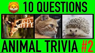 ANIMAL TRIVIA QUIZ #2 - 10 Animals General Knowledge Trivia Questions and Answers Challenge