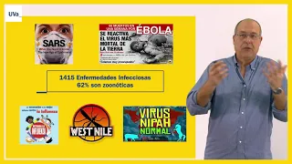 ¿QUÉ ES LA ZOONOSIS?