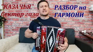 Казачья Сектор газа Разбор на гармони