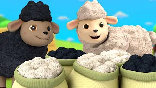 Baa Baa Black Sheep and Nursery Rhymes for Babies 🐑😻