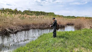 КЛЮНУЛА ХОЗЯЙКА переката, думал НЕ ВЫТАЩУ. Рыбалка на спиннинг, щука в мае 2023