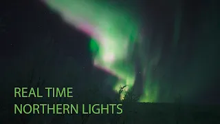 Real Time Aurora in UHD/4K