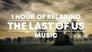 1 Hour of Relaxing 'The Last of Us' Music