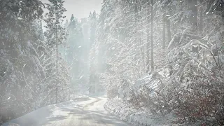 Virtual Blizzard in Poland || Snowstorm and Howling Winds || Winter Sounds for Sleep