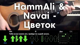 HammAli & Navai - Цветок  РАЗБОР ПЕСНИ АККОРДЫ И БОЙ (БЕЗ БАРРЭ)