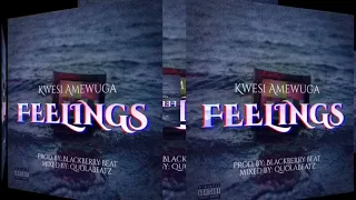 Feelings (audio visualizer)