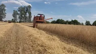 😀Żniwa 2k23 😀żyto pod kosę;) żniwa z Agro bracia team