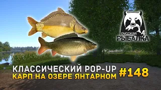 Классический POP-UP. Карп на озере Янтарном - Русская Рыбалка 4 #148