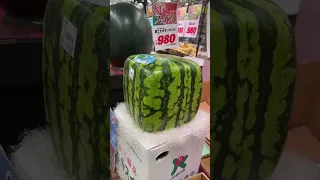 I found the MOST EXPENSIVE watermelons in Japan! #japan #shorts