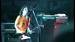Foo Fighters - Good Grief Live 1995 Summersault Festival (Soundboard Recording)