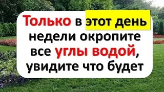 Только в этот день недели окропите все углы водой, увидите, что будет. Как защитить дом от зависти