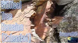 Biblical Tree Remains (Extended) - Flat Out Truth - Giant Ancient Petrified Trees Are MOUNTAINS