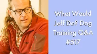 Stop dog whining | Stop a dog from biting | What Would Jeff Do? Dog Training Q & A #517
