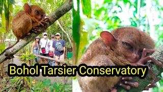 BOHOL 2022 | Tarsier Conservatory Area |